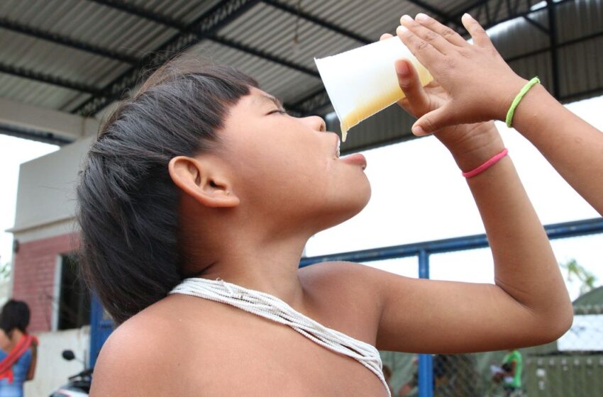  Ultraprocessados avançam na dieta de povos tradicionais e preocupam saúde pública
