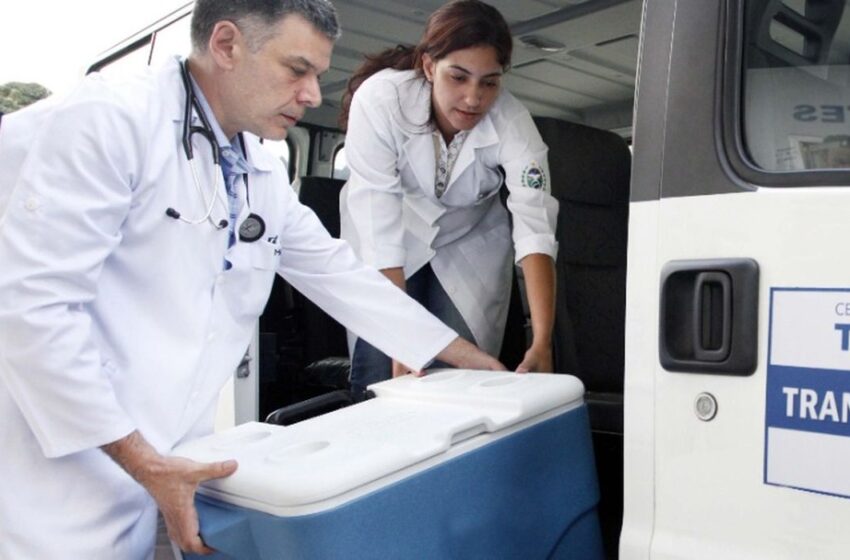  Brasil alcança marca histórica em transplantes de órgãos e tecidos em 2025
