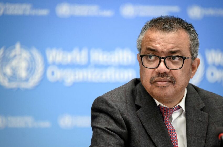  Organização Mundial da Saúde monitora hantavírus em cruzeiro e descarta surto generalizado