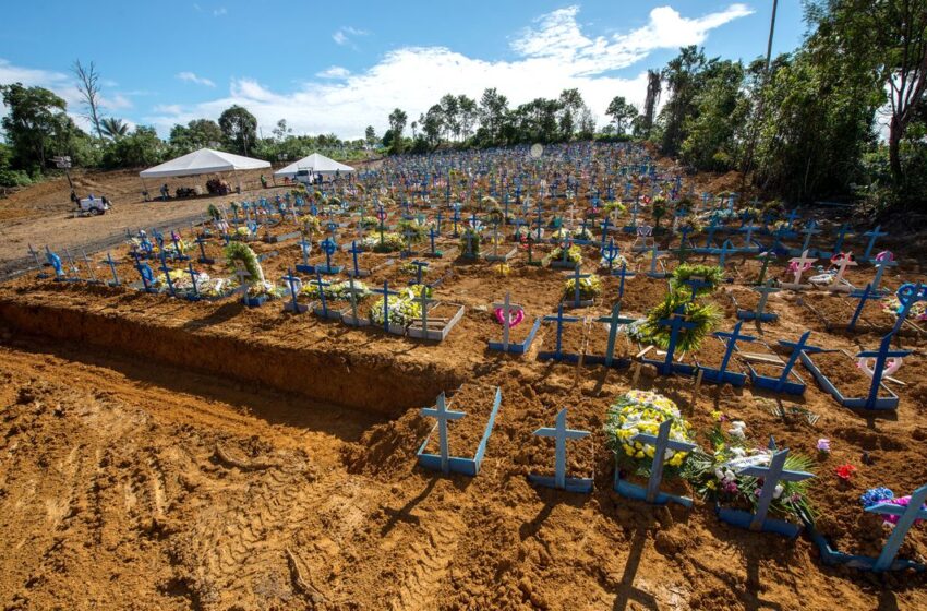  Expectativa de vida no Brasil sofre queda de 3,4 anos devido à pandemia, indica pesquisa