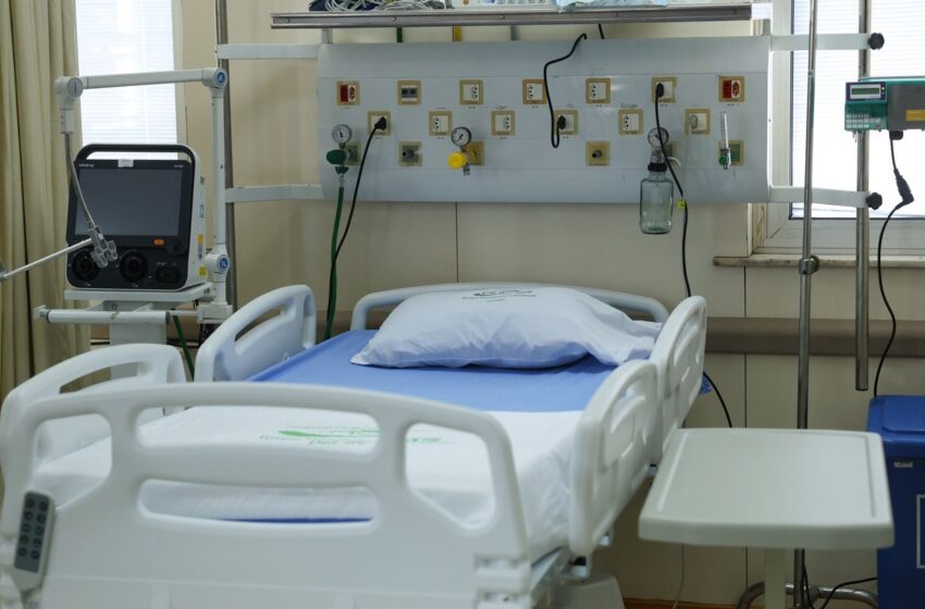  Evite a malha fina ao declarar dependentes e planos de saúde no Imposto de Renda 2024