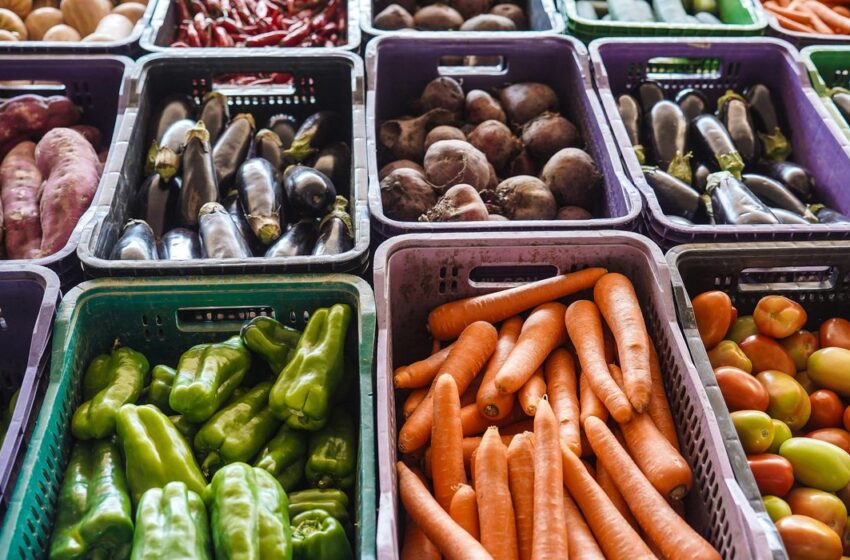  Incavoluntário lança campanha para garantir alimentação de pacientes com câncer