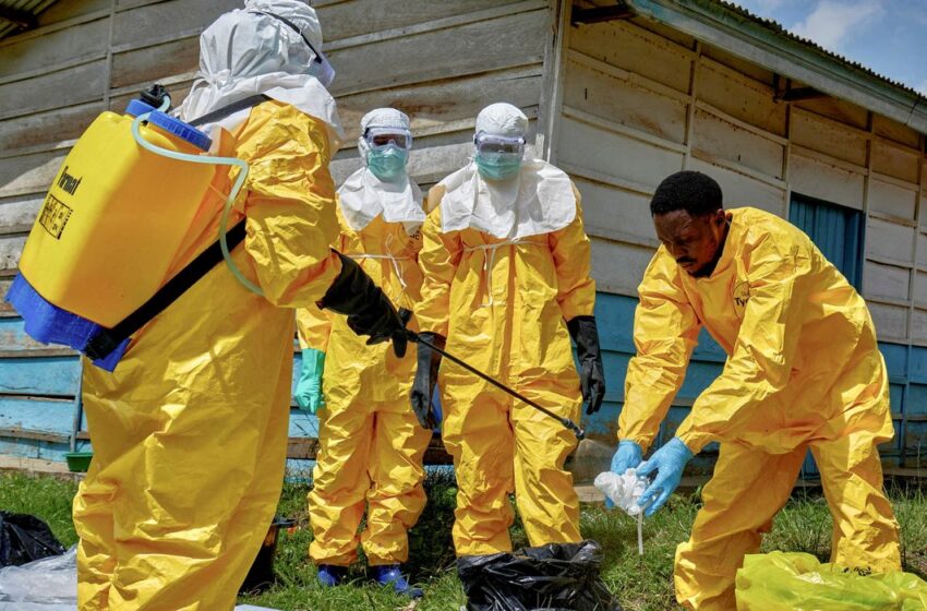  Ebola: OMS eleva risco na RDC e alerta para rápida propagação da doença