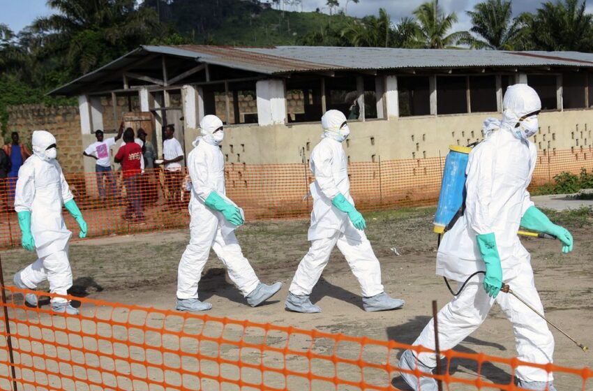  Ebola no Congo: Perda irreparável de voluntários brasileiros