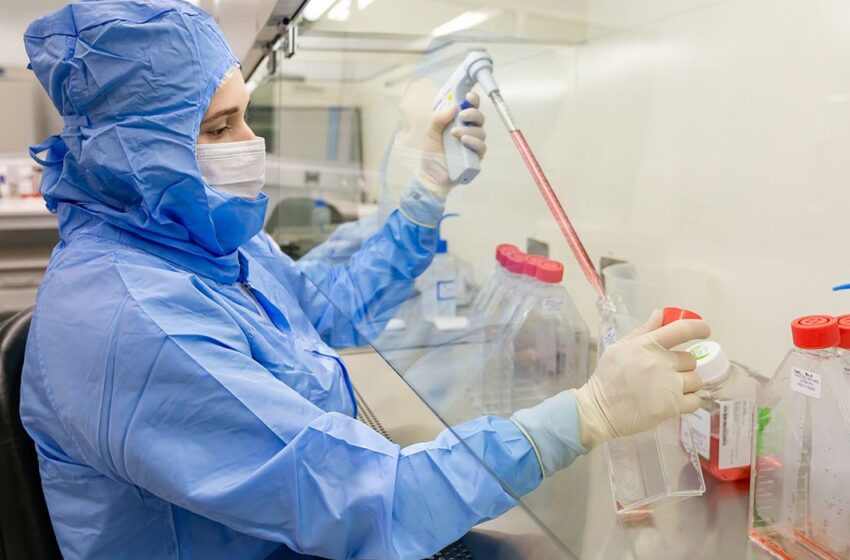  Pesquisa brasileira avança com células-tronco contra complicação de transplante