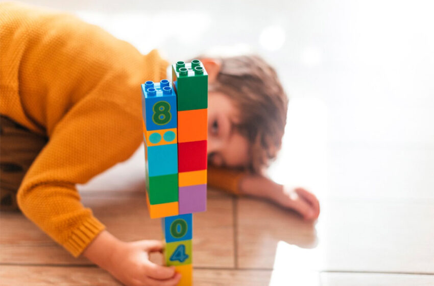  Saúde mental no autismo: um olhar complementar e necessário