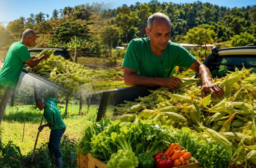  Prefeitura de Ipatinga entrega 101 toneladas de adubo a produtores rurais