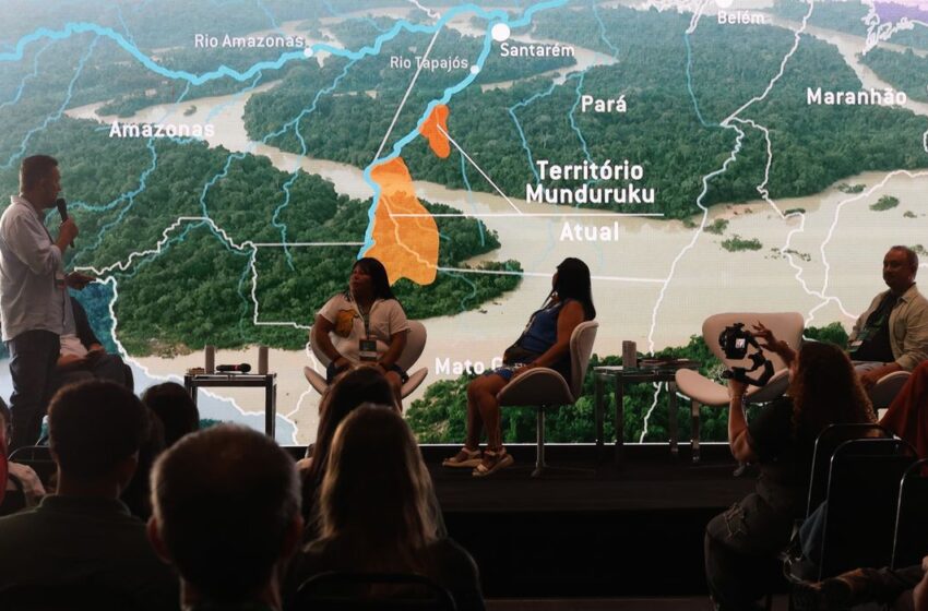  Mercúrio em gestantes Munduruku: níveis alarmantes ameaçam saúde de mães e bebês