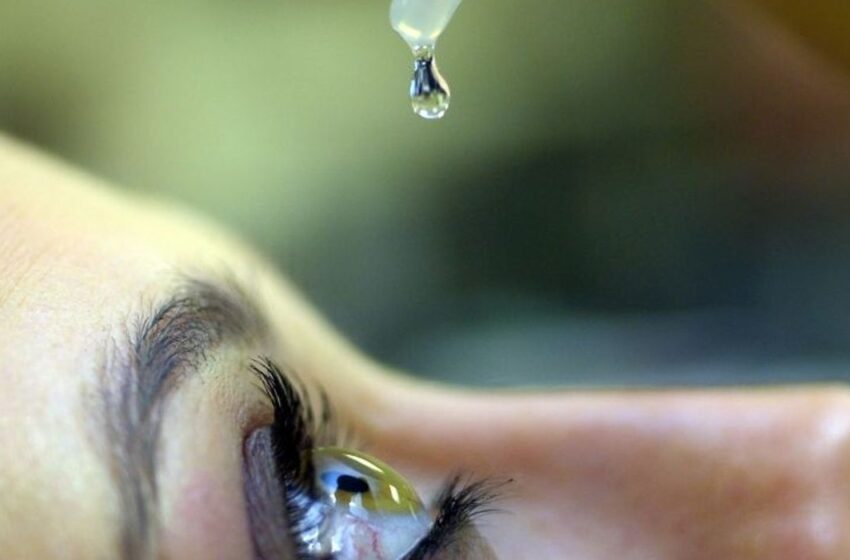 Corticoides sem controle elevam risco de glaucoma e cegueira, alerta Sociedade Brasileira