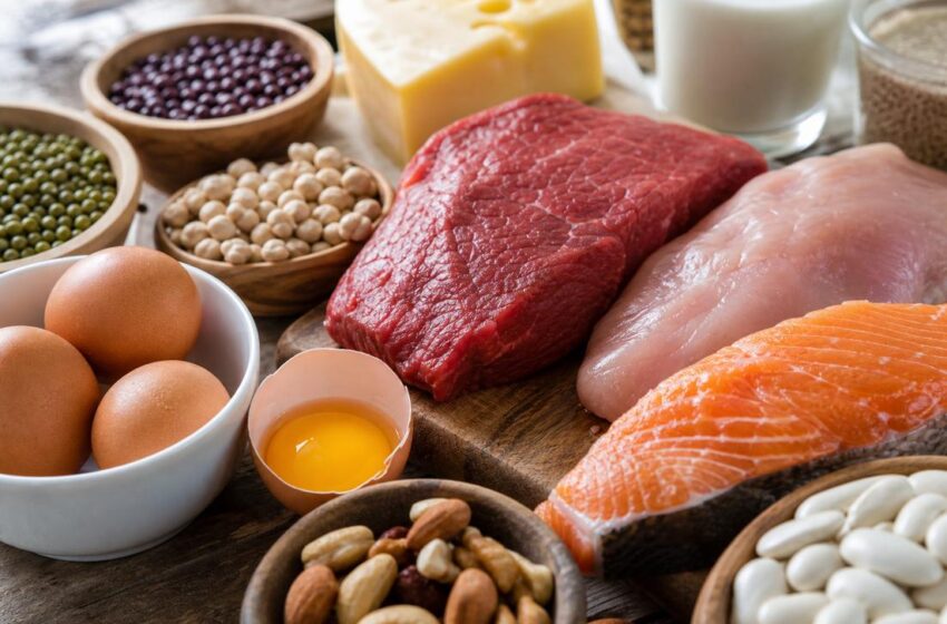  A importância da proteína: descubra sua meta diária e impacto na saúde