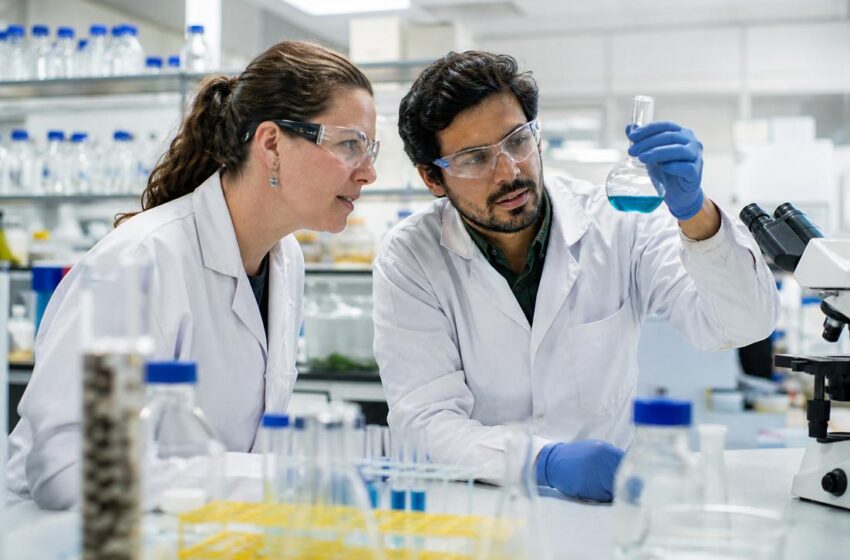  Novo tratamento para Alzheimer mostra resultados promissores em estudo pré-clínico