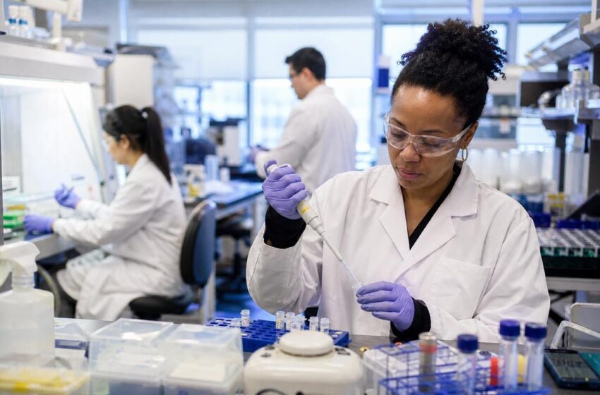  Desenvolvimento de vacina contra Ebola: moderna e CEPI unem forças em busca de solução eficaz