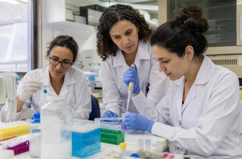  UFMG identifica antígenos que podem abrir caminho para uma vacina contra a malária
