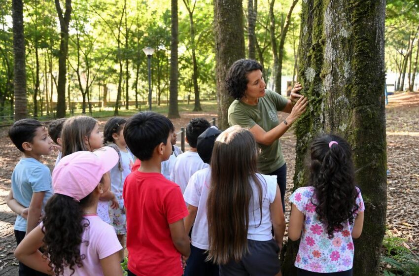  Férias em BH têm atividades gratuitas em parques e zoológico