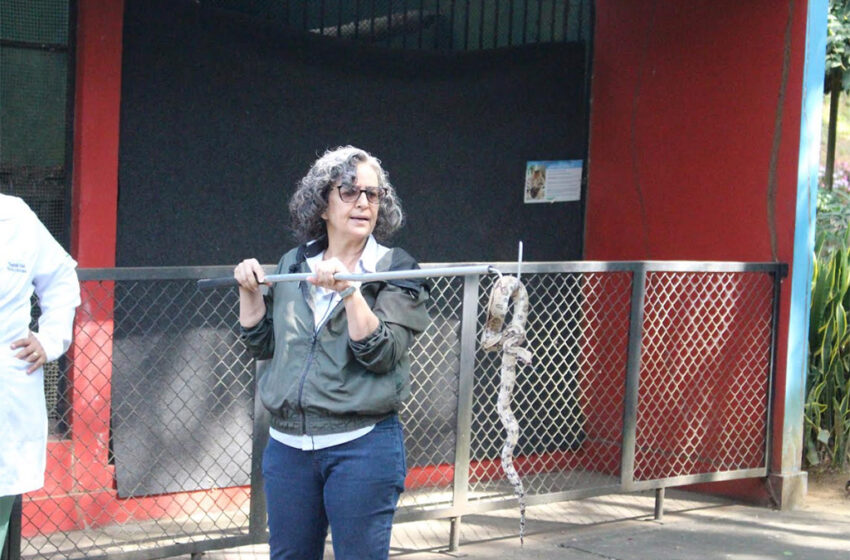  Cebus oferece capacitação em manejo de animais peçonhentos e silvestres para empresas
