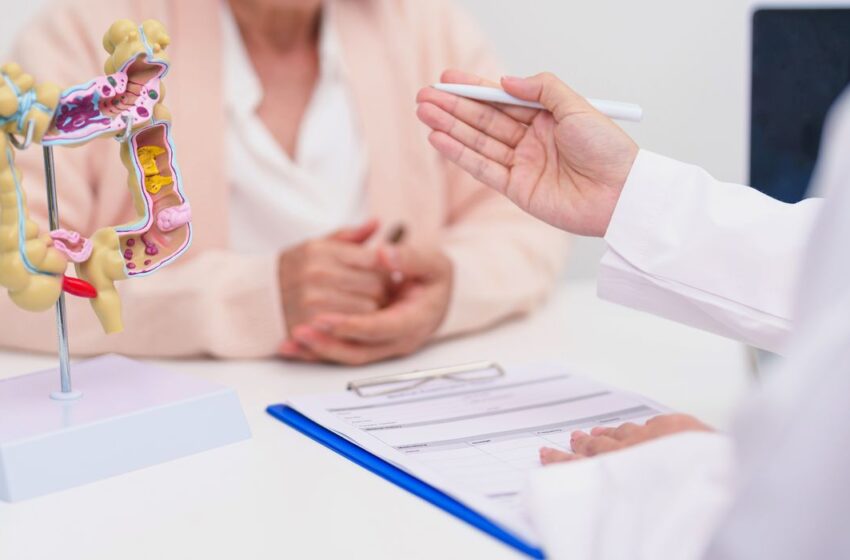  Câncer colorretal com metástase: novo medicamento é aprovado pela Anvisa nesta segunda-feira (31)