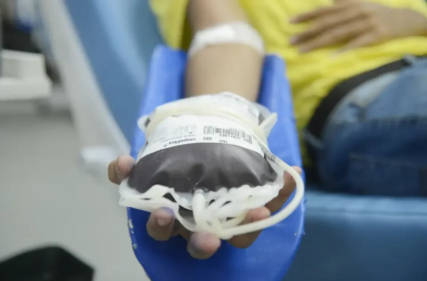 Doação de sangue: novas regras reduzem espera após tatuagem; veja o que muda