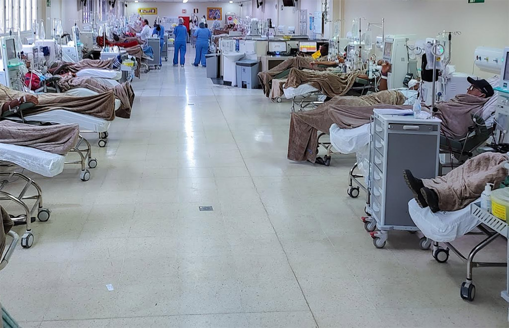 pacientes renais