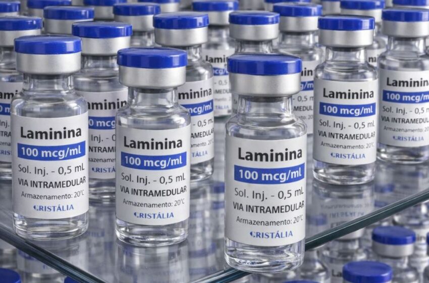 Polilaminina: testes em humanos começam neste mês para avaliar segurança