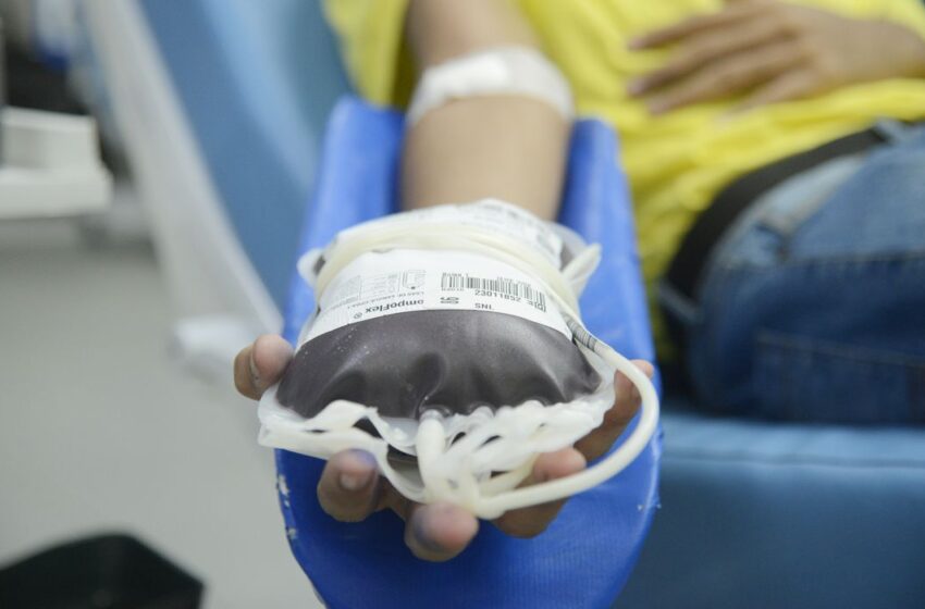  Doação de sangue: pessoas acima de 70 anos poderão continuar doando