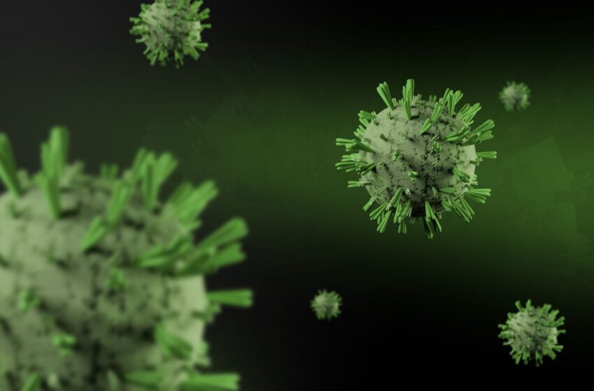  Venetoclax reduz células de HIV em estudo com macacos