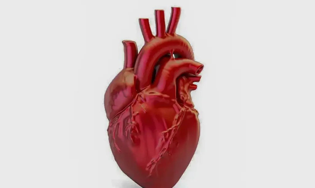 Doenças cardiovasculares causam uma morte a cada 72 segundos no Brasil