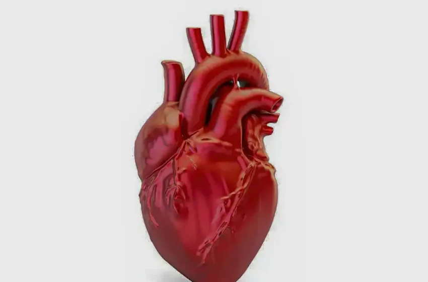  Doenças cardiovasculares causam uma morte a cada 72 segundos no Brasil