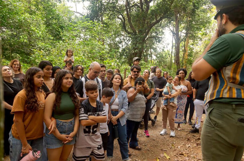  Últimas sessões das visitas guiadas a Pedra Mole em 2026
