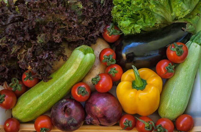  Variedade de vegetais pode beneficiar a saúde do coração, aponta estudo